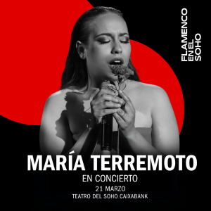 mariatrerremoto-flamencoenelsoho