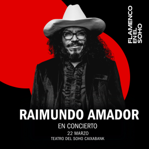 raiumundoamadro-flamencoenelsoho