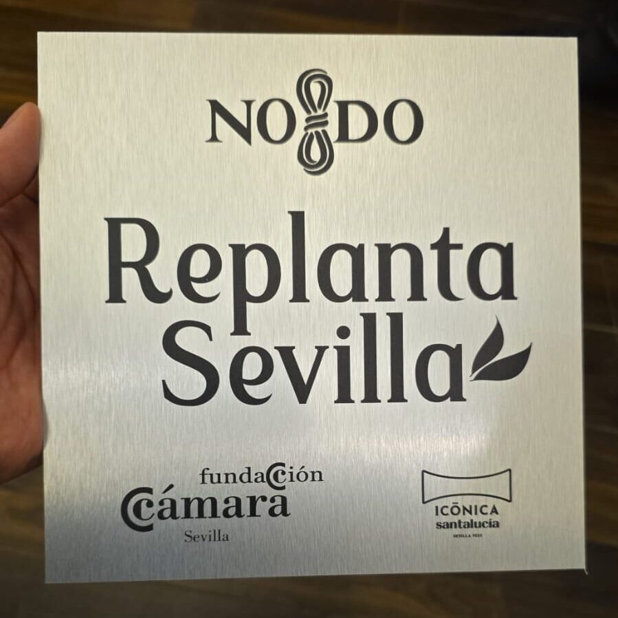 Imagen de WhatsApp 2025-03-12 a las 12.23.00_29943b99