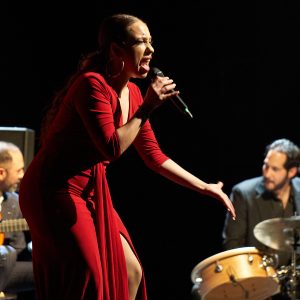 mariaterremoto-flamencoenelsoho