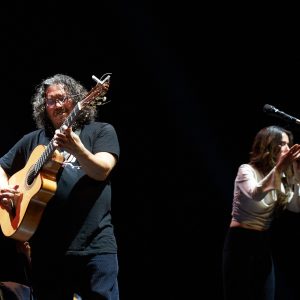 raimundoamador-flamencoenelsoho